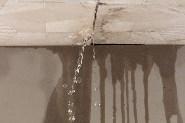 Professional Burst Pipe Cleanup technician working in Randle, WA